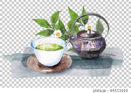 日本茶と茶の木のイラスト素材