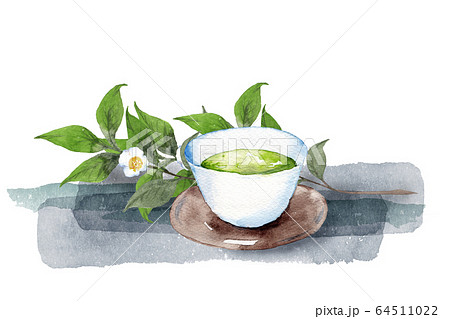 日本茶と茶の木のイラスト素材