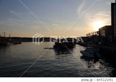 冬の三崎港 冬の三崎港 64512291