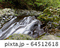 滑沢渓谷の清流 64512618