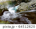 滑沢渓谷の清流 64512620