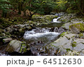 滑沢渓谷の清流 64512630