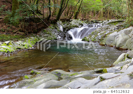 滑沢渓谷の清流 64512632