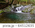 滑沢渓谷の清流 64512635
