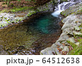 滑沢渓谷の清流 64512638
