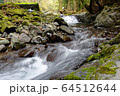滑沢渓谷の清流 64512644