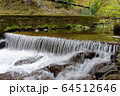 滑沢渓谷の清流 64512646