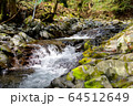 滑沢渓谷の清流 64512649
