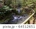 滑沢渓谷の清流 64512651