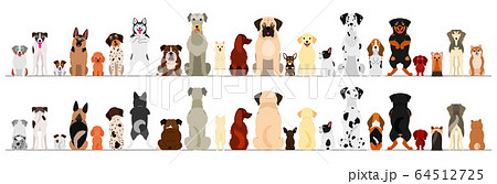 犬たちの大型ボーダーセット　全身　前後 64512725