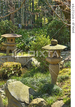 世田谷散歩：等々力渓谷　日本庭園 64512764