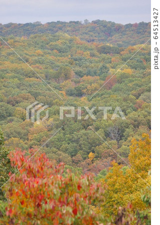 紅葉のブラウン・カントリー州立公園　アメリカ　インディアナ州 64513427