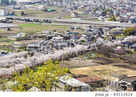 岐阜県　各務原市都市風景　三井山より 64513616