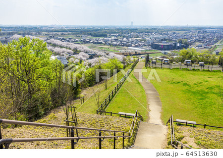 岐阜県　各務原市都市風景　三井山より 64513630