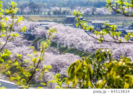 岐阜県　各務原市都市風景　三井山より 64513634