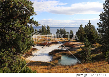 イエローストーン国立公園 イエローストーンレイク アメリカ ワイオミング州 イエローストーン国立公園 イエローストーンレイク アメリカ ワイオミング州 64514374