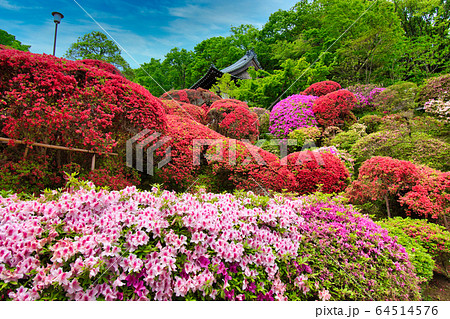 川崎市宮前区　等覚院 64514576