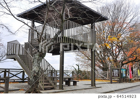 栃木県栃木市　太平山　太平山県立自然公園　謙信平展望台 64514923