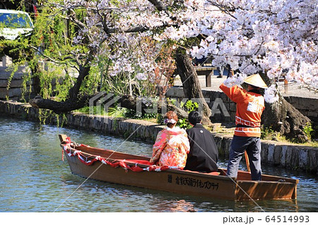 瀬戸の花嫁405 64514993