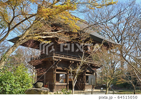 世田谷散歩：九品仏浄真寺 仁王門の写真素材 [64515050] - PIXTA