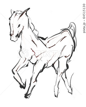 線画で描かれた馬 線画で描かれた馬 64515130