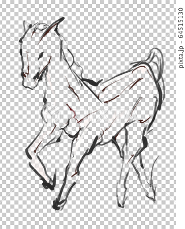 線画で描かれた馬 線画で描かれた馬 64515130
