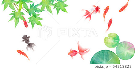 金魚と緑のモミジと睡蓮の葉で構成した夏のイメージ背景 水彩イラストのイラスト素材