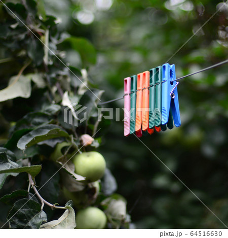 Clothespins on a rope hanging outside house and 64516630