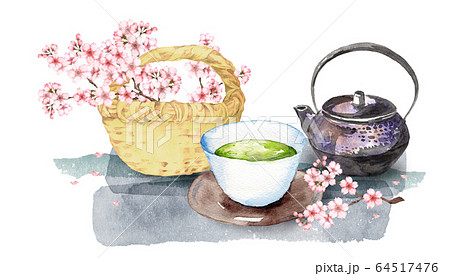 桜と日本茶 64517476