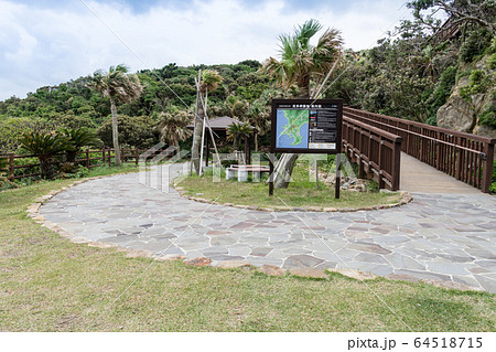 佐多岬公園 64518715