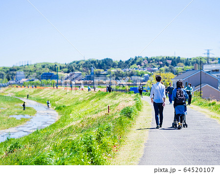春の多摩川　土手の遊歩道 64520107