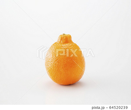 オレンジ ミネオラオレンジ 果物 オレンジ ミネオラオレンジ 果物 64520239