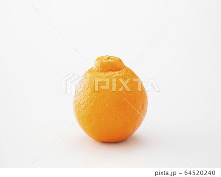 オレンジ ミネオラオレンジ 果物 オレンジ ミネオラオレンジ 果物 64520240