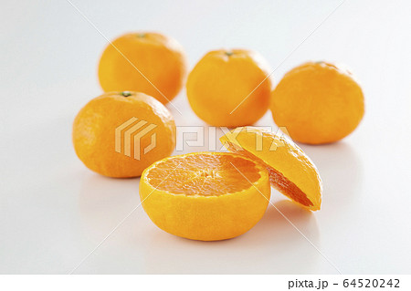 カラマンダリン　マンダリン　オレンジ 64520242