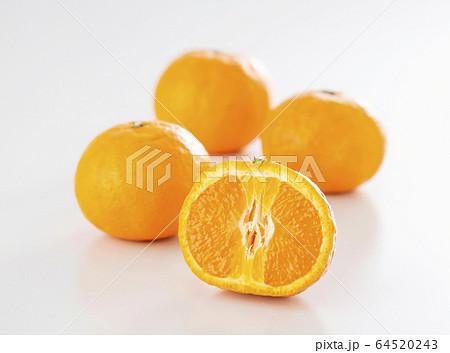 カラマンダリン　マンダリン　オレンジ 64520243