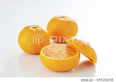 カラマンダリン　マンダリン　オレンジ 64520248