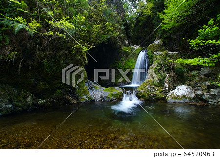 崩ノ川滝 和歌山県東牟婁郡古座川町 崩ノ川滝 和歌山県東牟婁郡古座川町 64520963