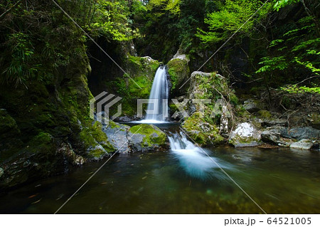 崩ノ川滝 和歌山県東牟婁郡古座川町 崩ノ川滝 和歌山県東牟婁郡古座川町 64521005