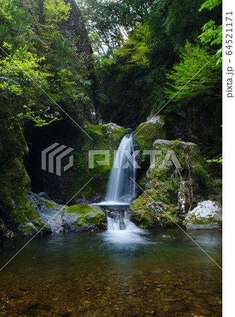 崩ノ川滝　和歌山県東牟婁郡古座川町 64521171
