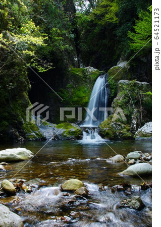崩ノ川滝　和歌山県東牟婁郡古座川町 64521173