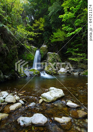 崩ノ川滝　和歌山県東牟婁郡古座川町 64521174