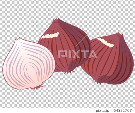 Vegetables onion 64521767