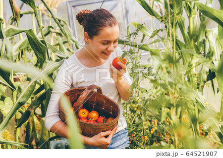 Gardening and agriculture concept. Young woman Gardening and agriculture concept. Young woman 64521907