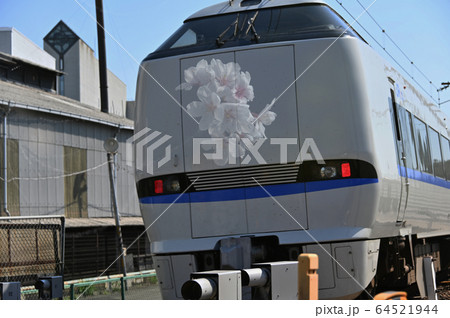 花見旅行のイメージ 64521944