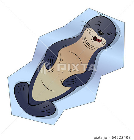 Seal animal lies on an ice floe and fed up. Seal animal lies on an ice floe and fed up. 64522408