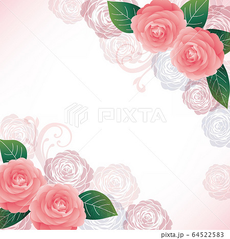 Camellia background - Stock Illustration [64522583] - PIXTA