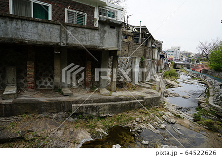 路地 木 松 64522626