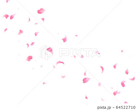 花びら_001 64522710