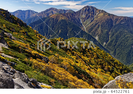 南アルプス・鳳凰山のダケカンバの黄葉と白峰三山 64522761
