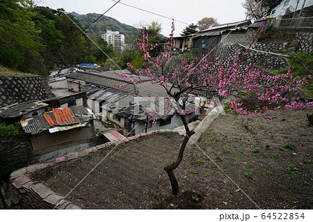 仏教 甕 屋根 64522854
